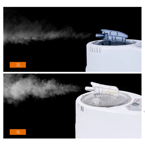 3L Sauna Steamer Pot Sauna Steam Engine Portable SPA Machine Stainless Steel Pot Spa Machine Timer with Controlfor SPA Household